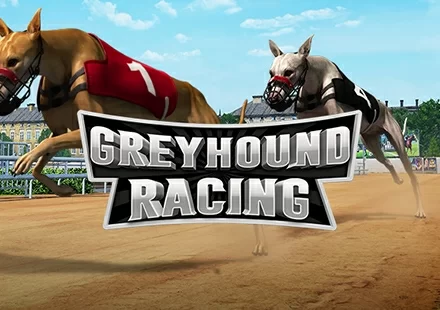 Greyhound Racing